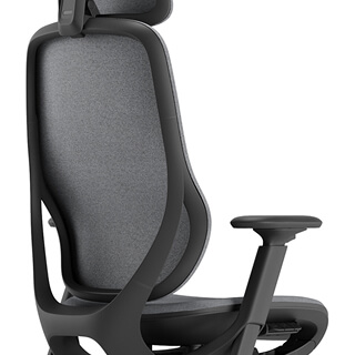 Ergonomic Curved Back Frame
